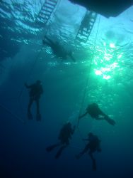 Doing the safety stop aboard the Turks and Caicos Aggress... by Charlie Foreman 